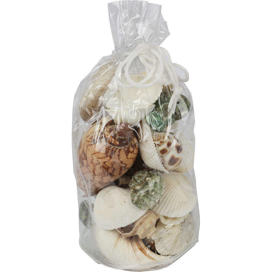 Shell Bag Mixed Selection