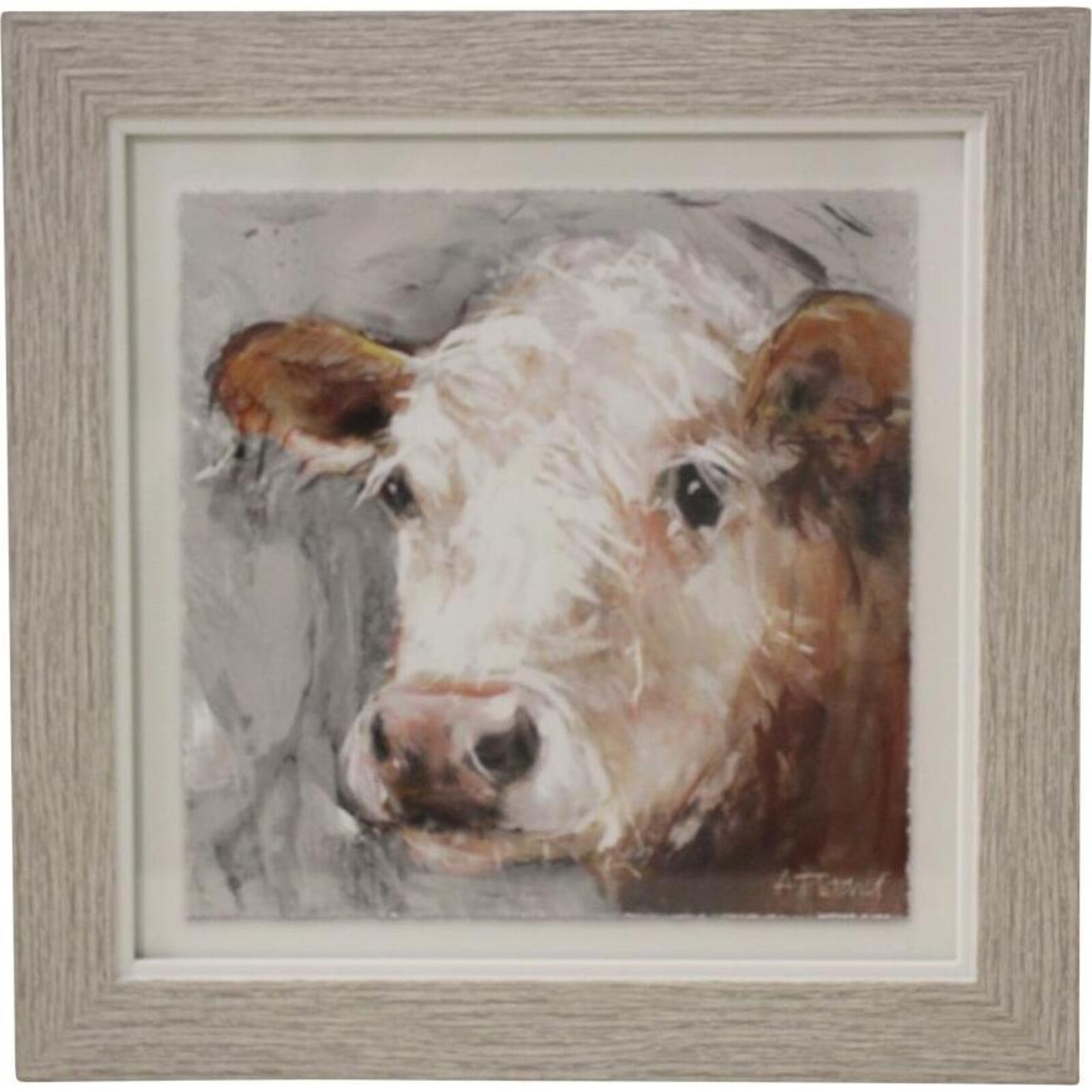 Framed Print Duke Cow