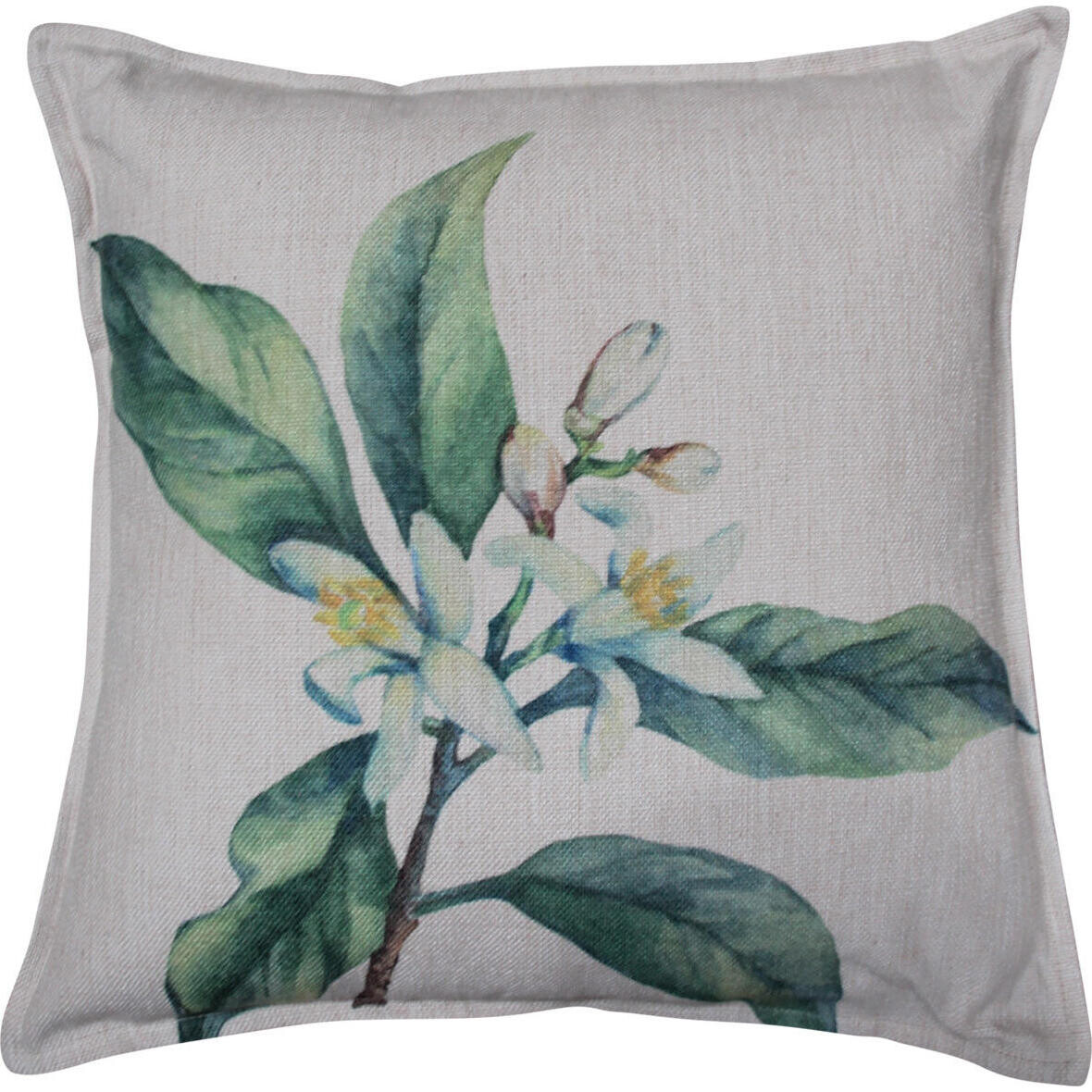 Cushion Botanical