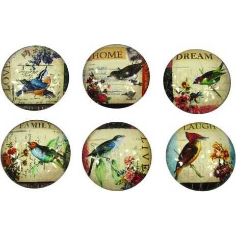 Magnets Birds set 6