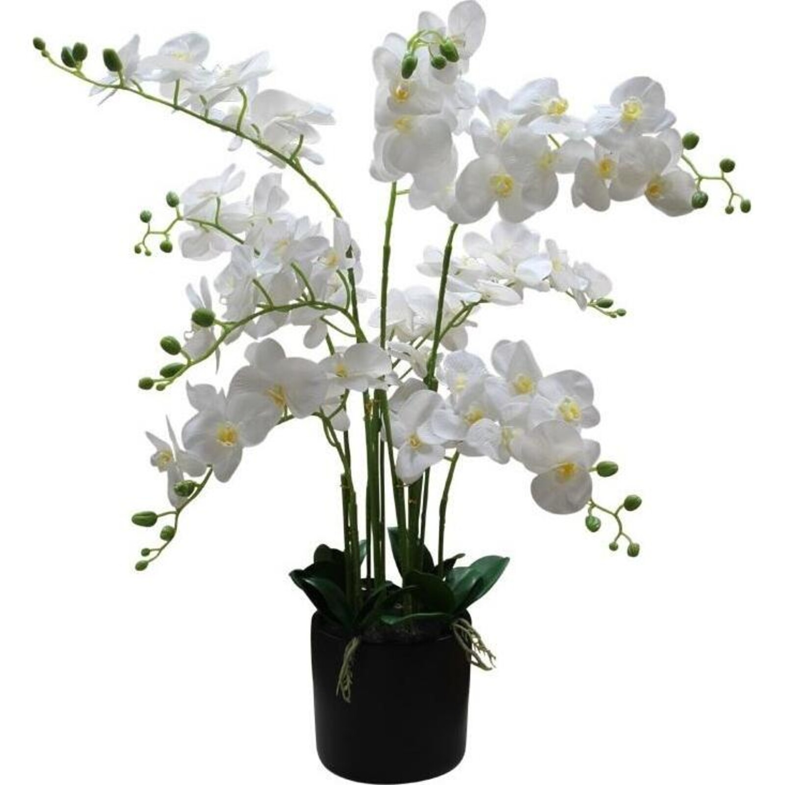 Imitation Orchid White Grand