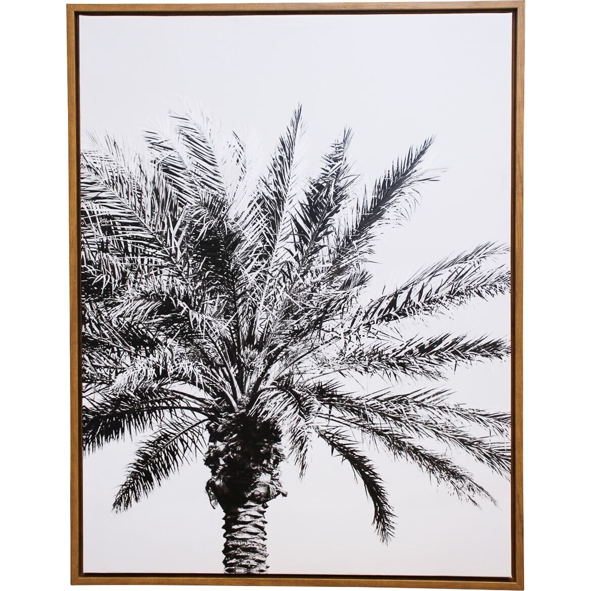 Framed Canvas Palm View