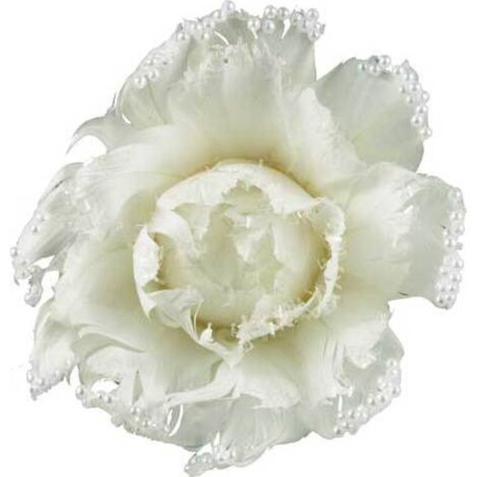 Flower White Frost