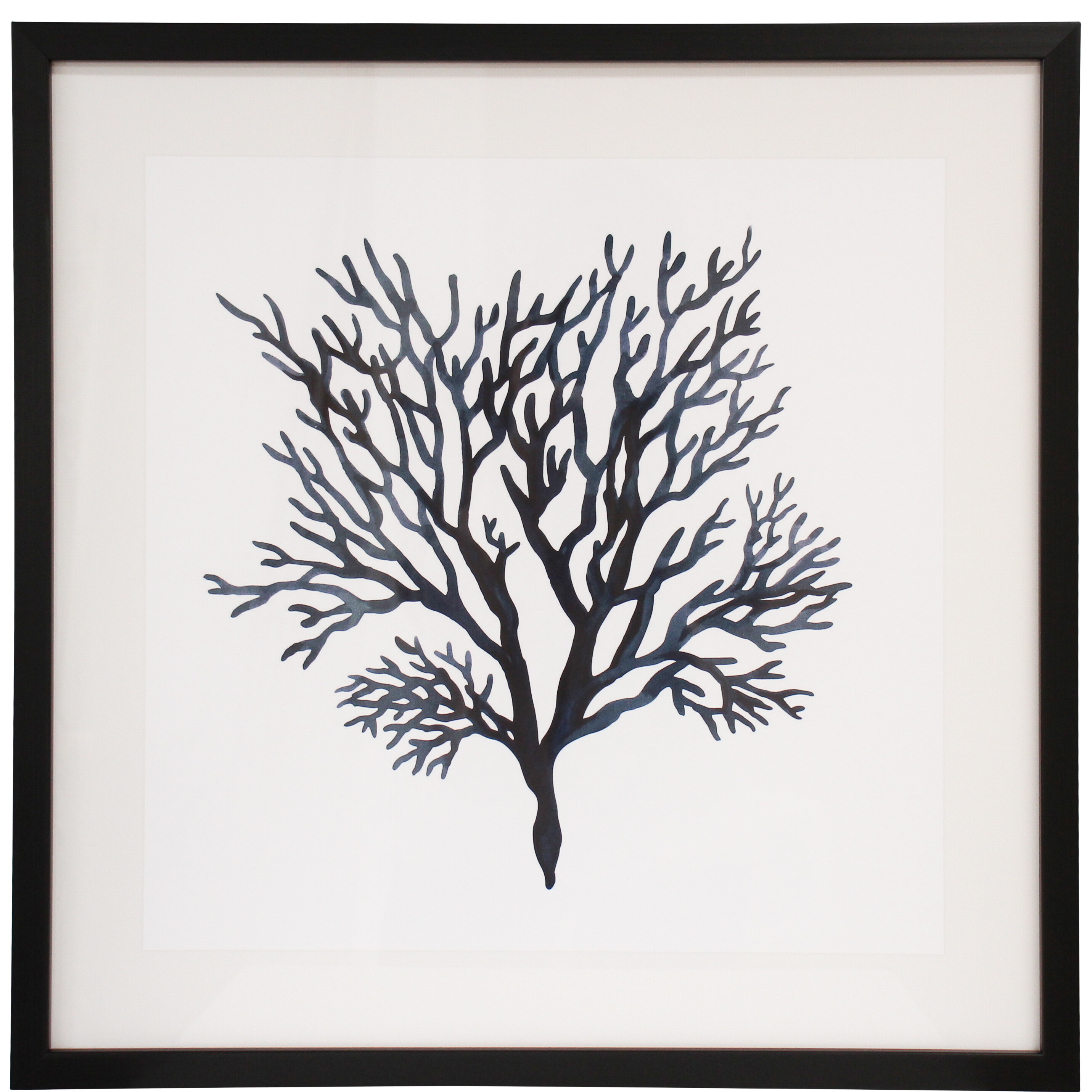 Framed Print Sea Fan 4