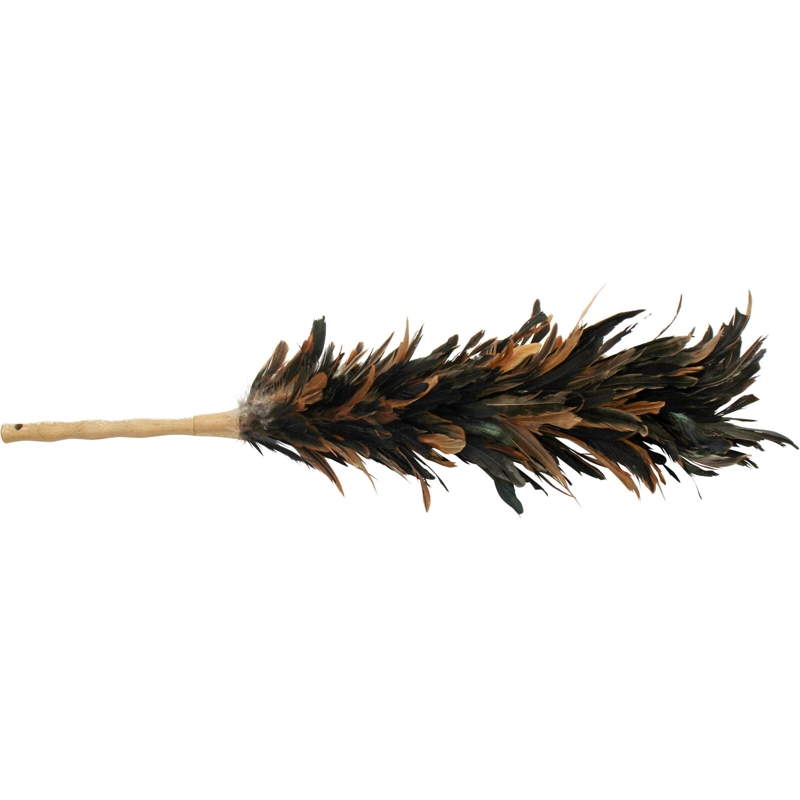 Feather Duster Black