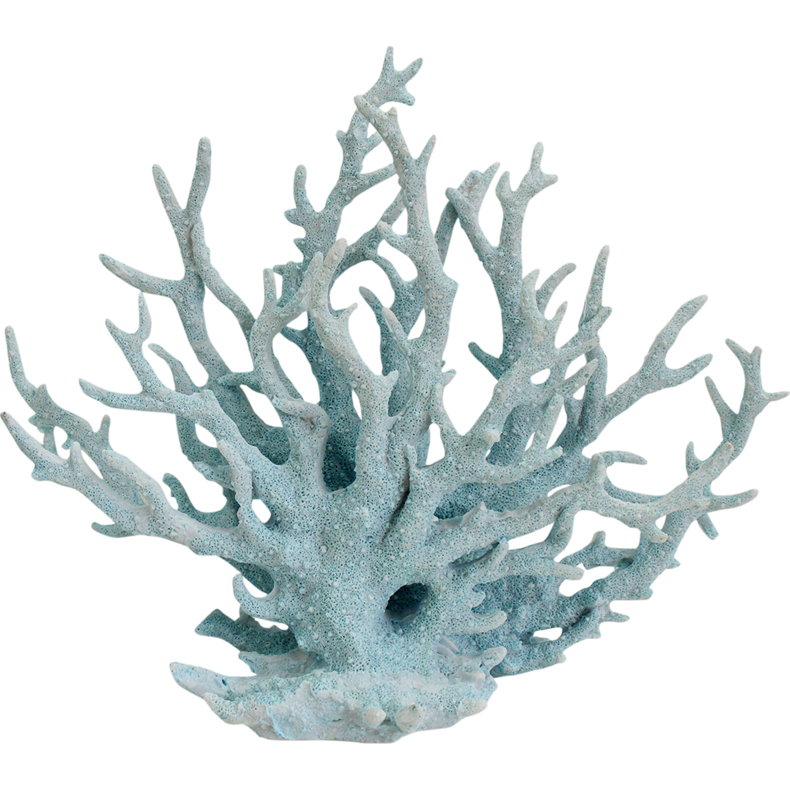 Coral Staghorn Lrg Ice