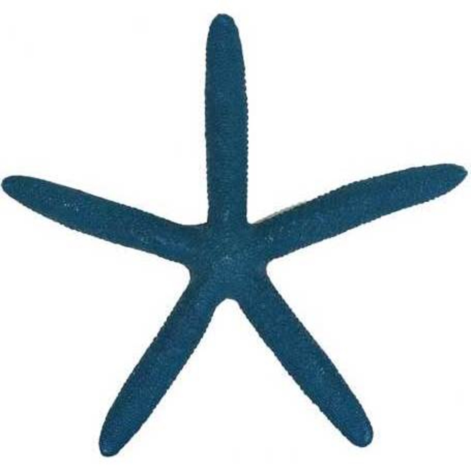 Starfish Blue 