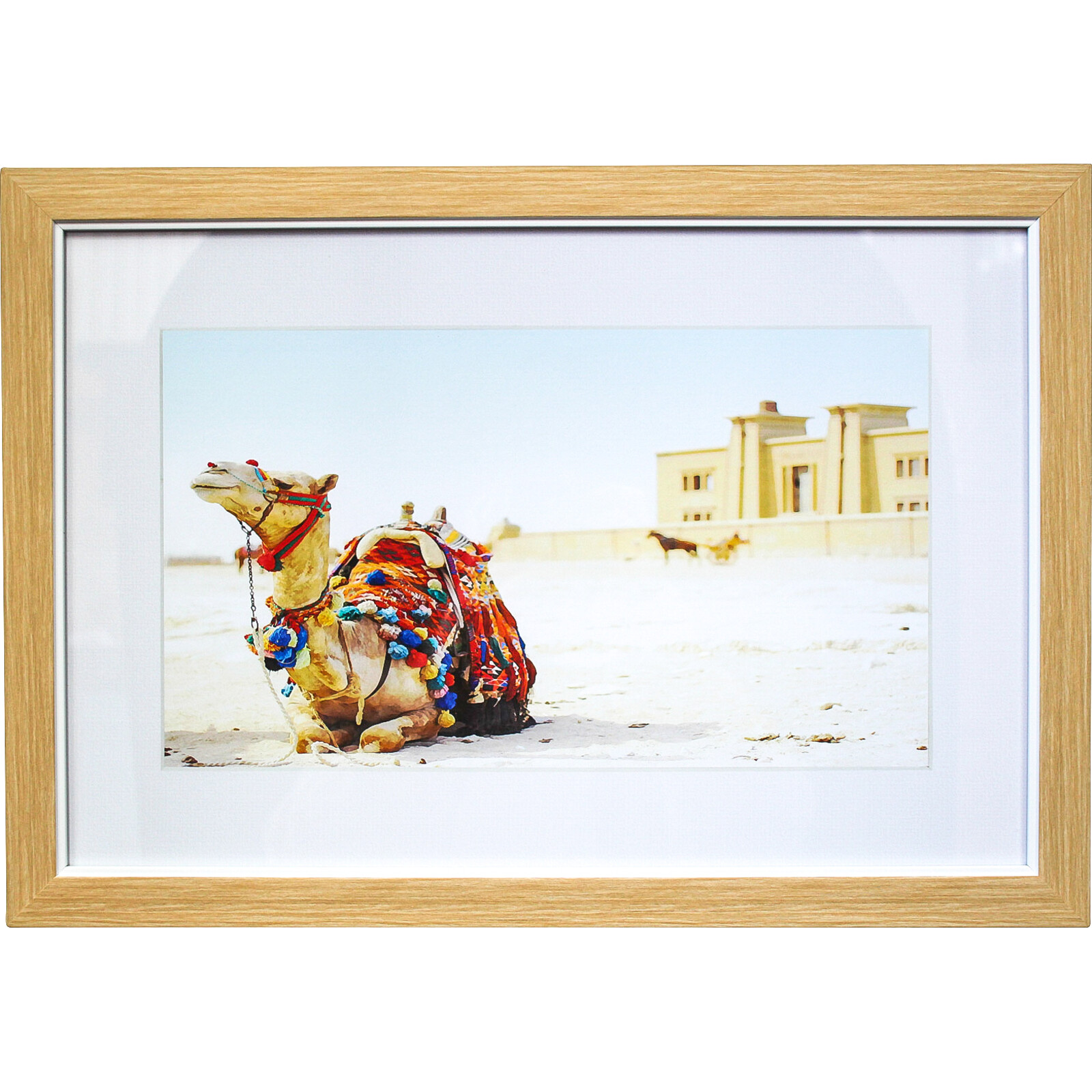 Framed Print Colourful Camel 1