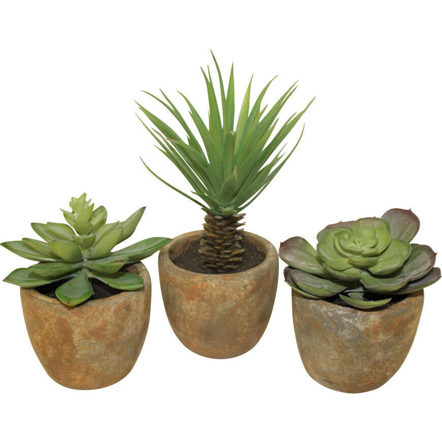 Artificial Plant Succulent S/3