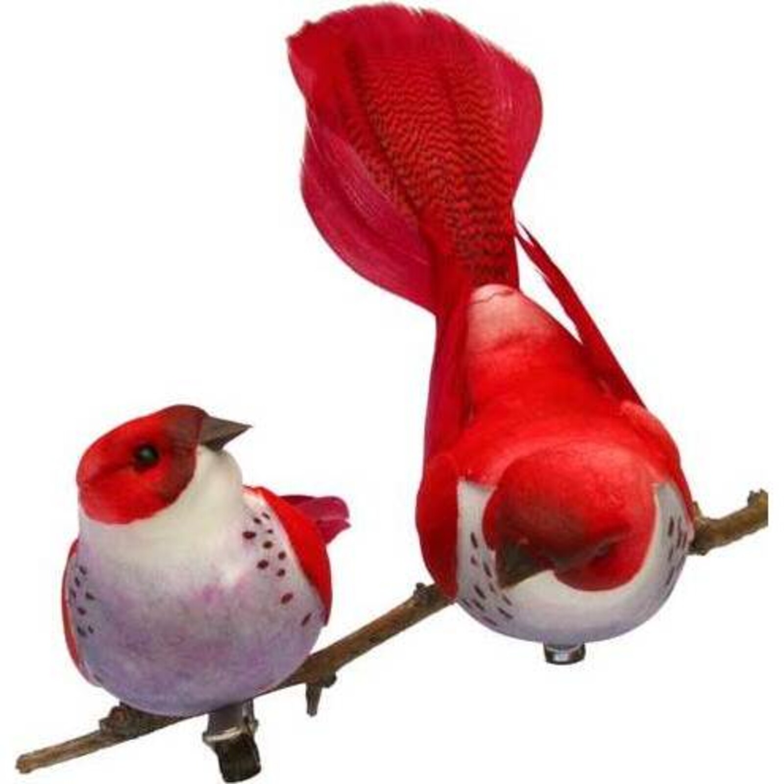 Clip BirdShiny Red 