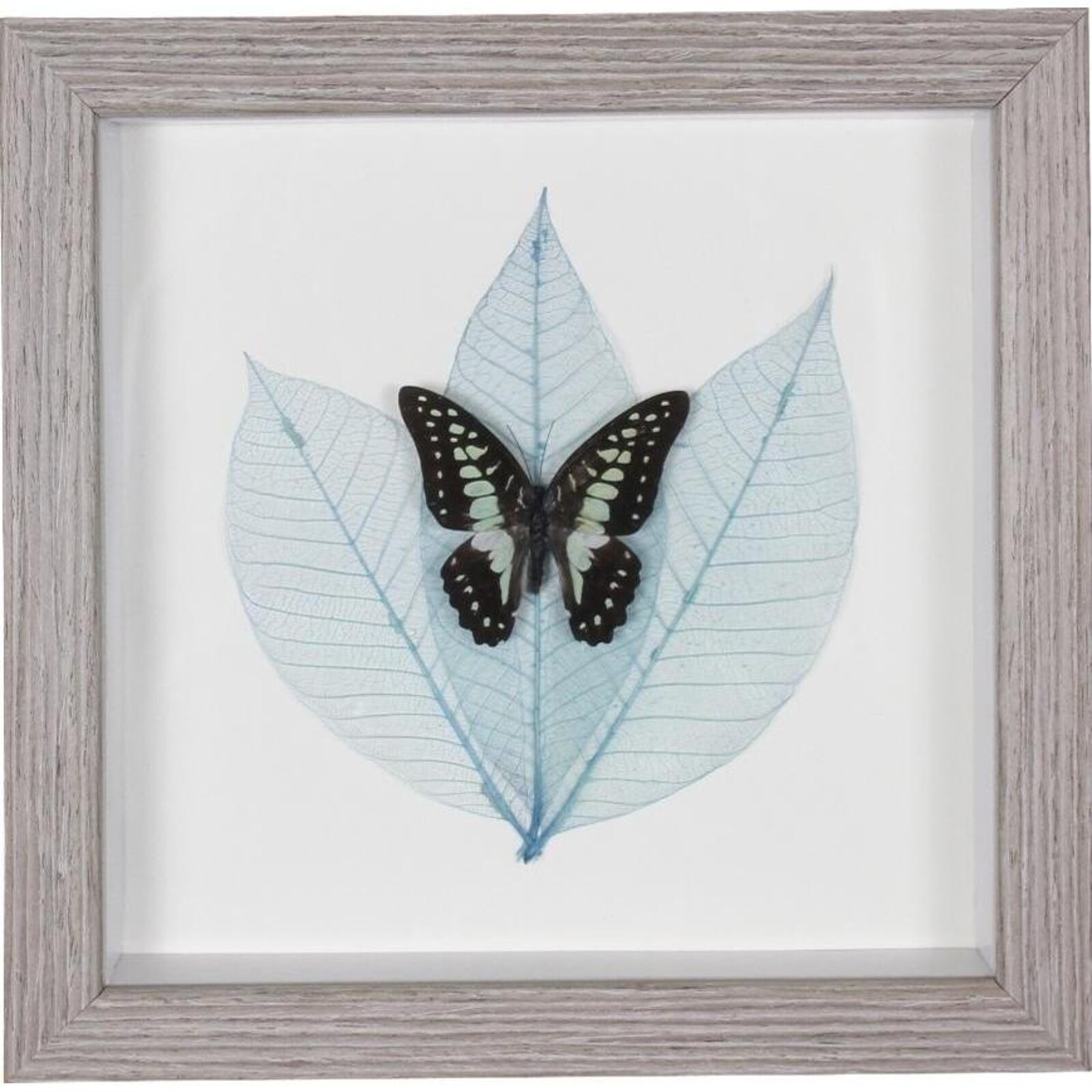 Framed Butterfly Wall Art 4