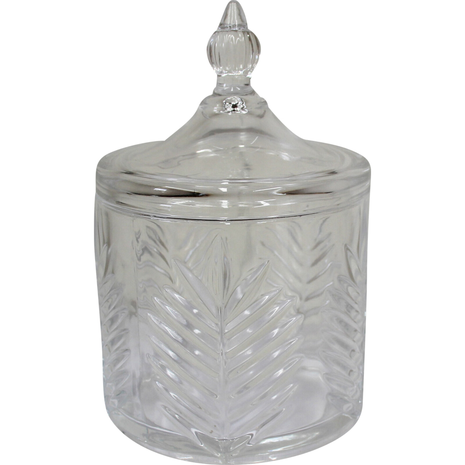 Glass Jar Fern