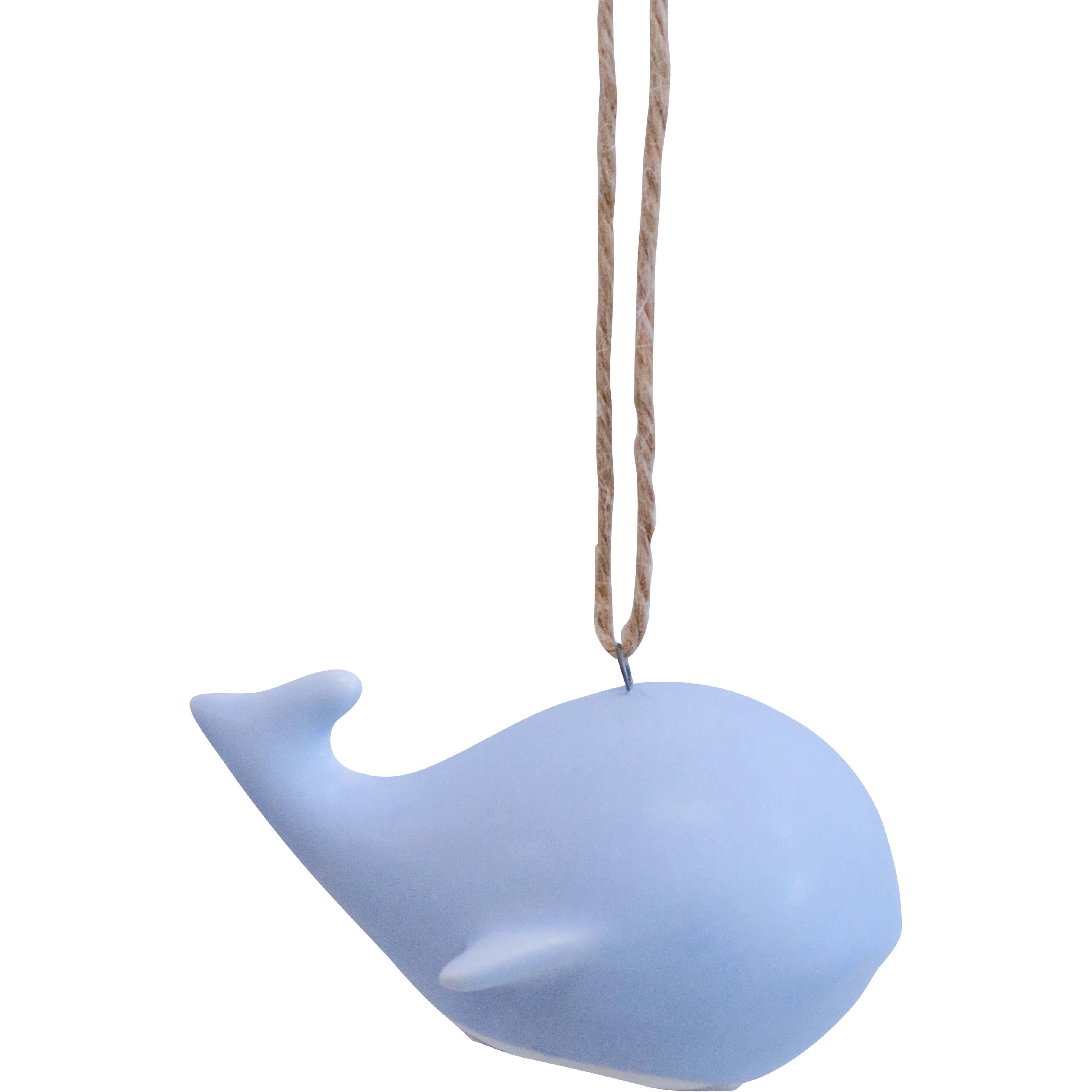 Hanging Whale Tidal