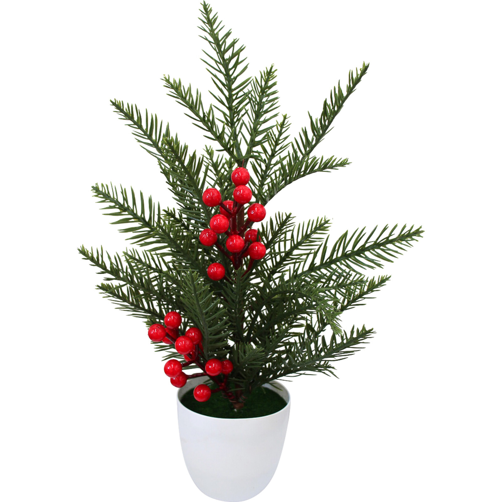 Christmas Tree w/ berries Potted