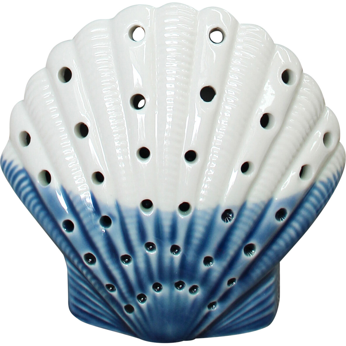 LED Scallop Blue/ White