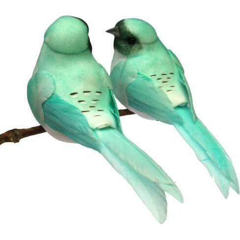 Clip Bird Light Teal S/2