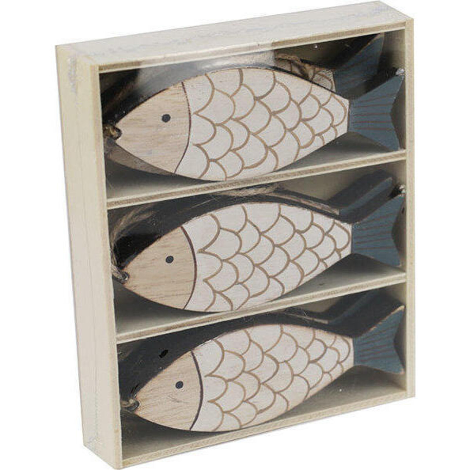 Box Fish Scales Set/9