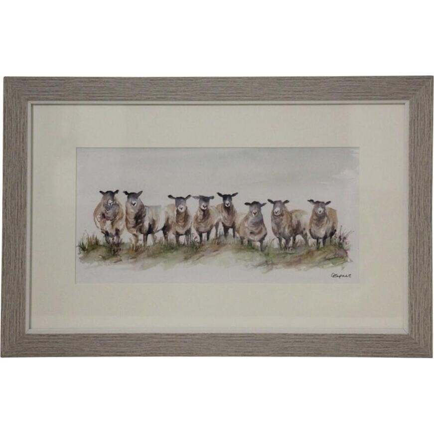 Framed Print Sheep Family