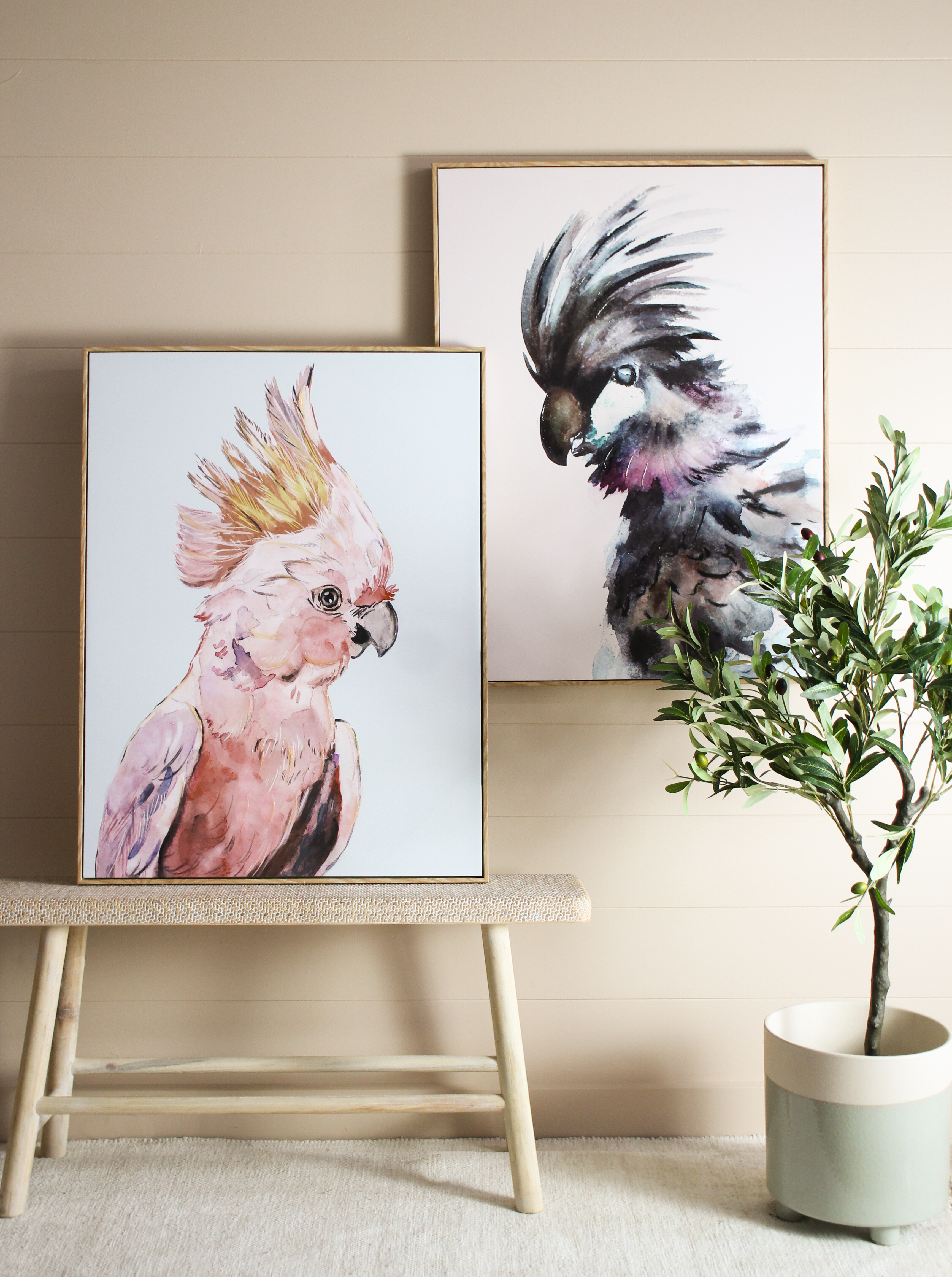 Framed Canvas Black Cockatoo