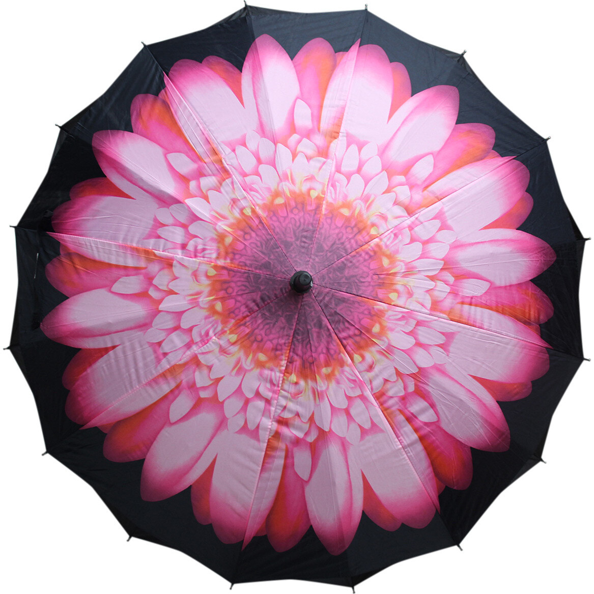 Umbrella Pink Flower