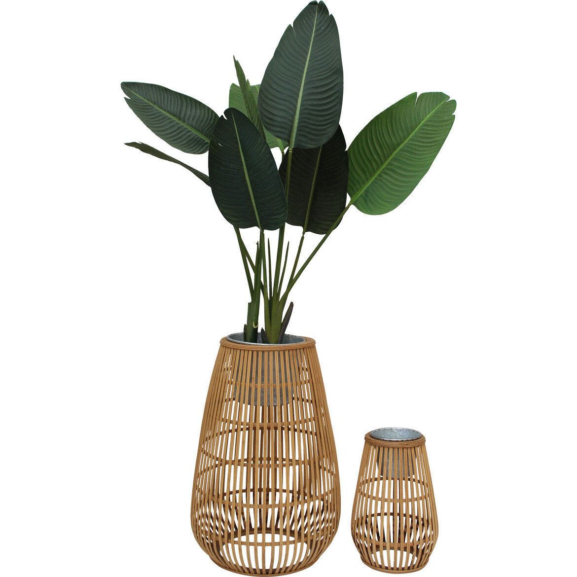 Coastal Planters S/2 Natural