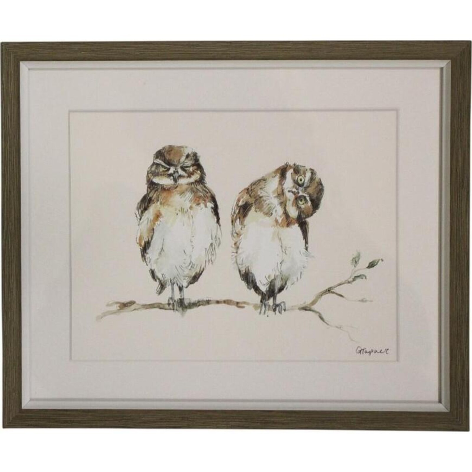 Framed Print Two Owls