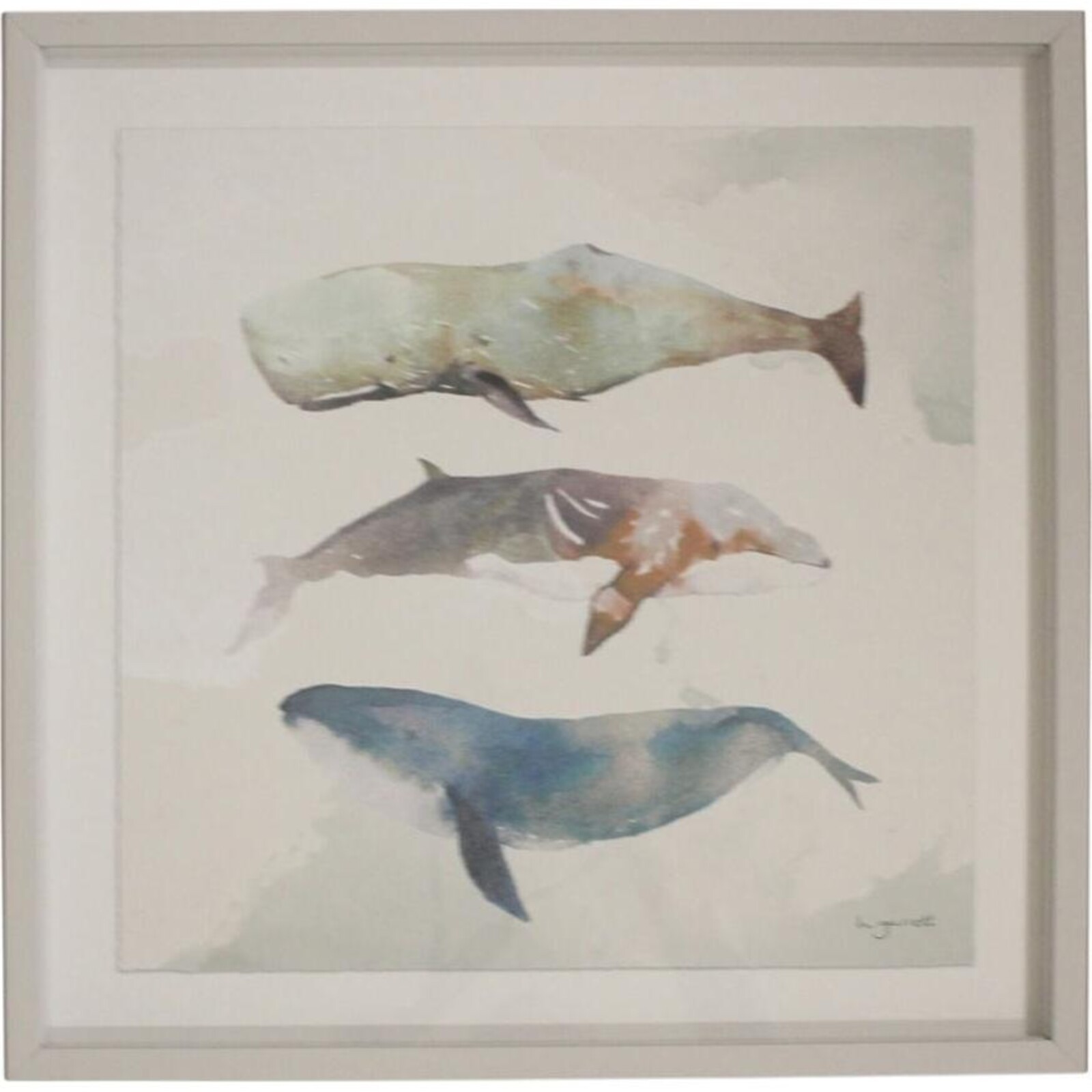 Framed Print Whales 2