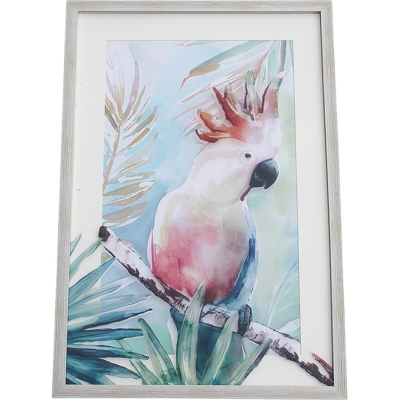 Framed Print Cockatoo