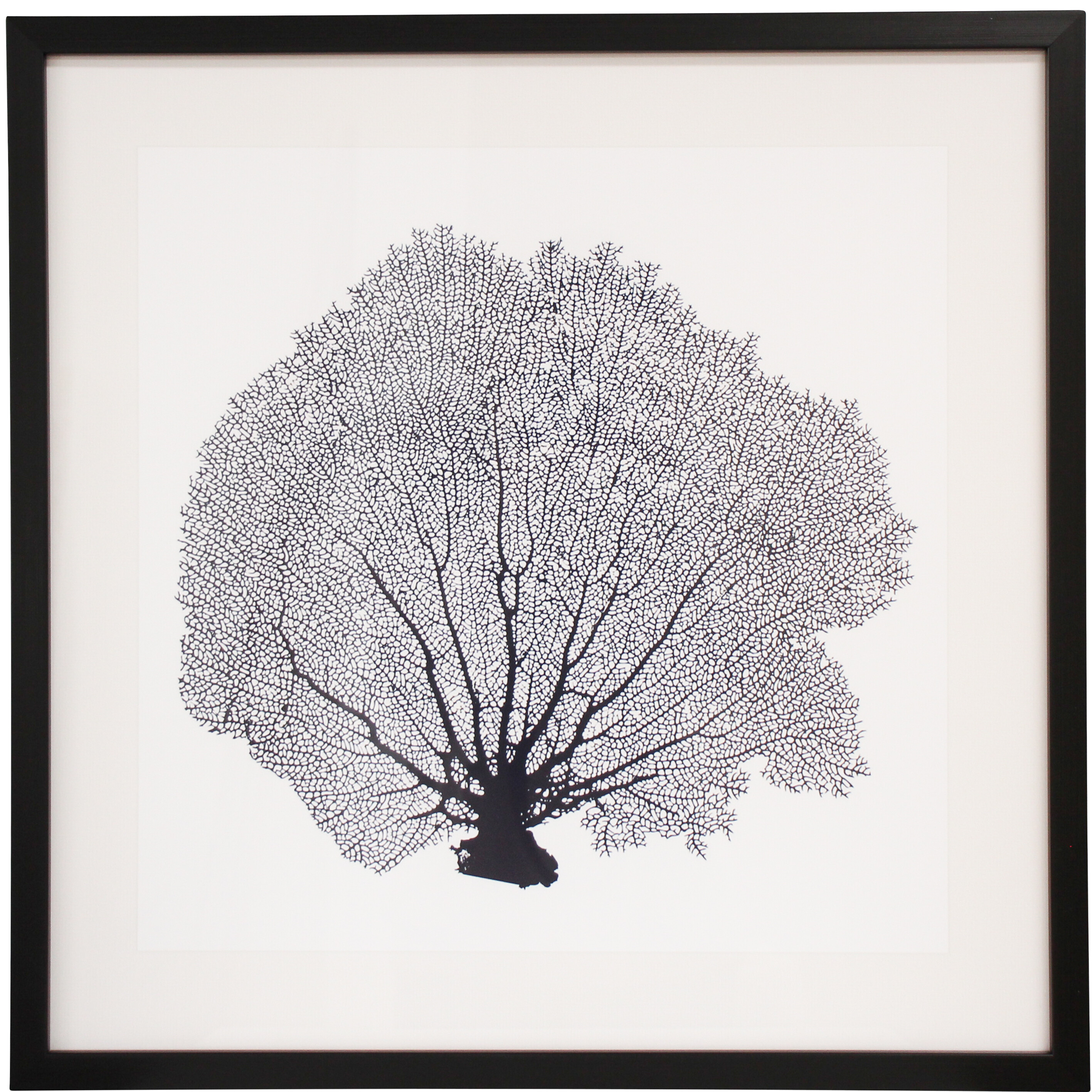 Framed Print Sea Fan 3