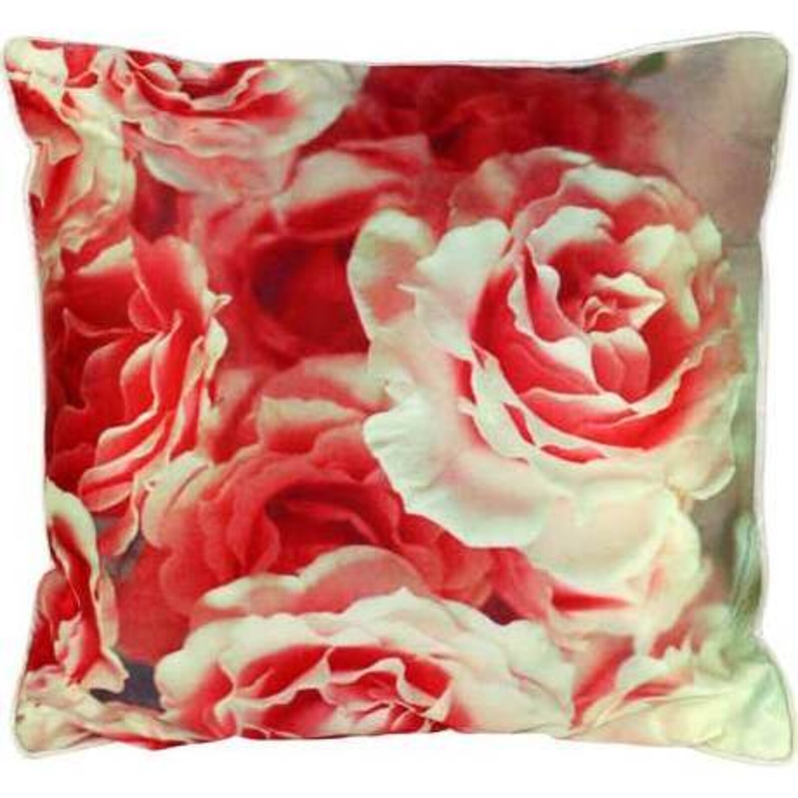 Cushion Austin Roses