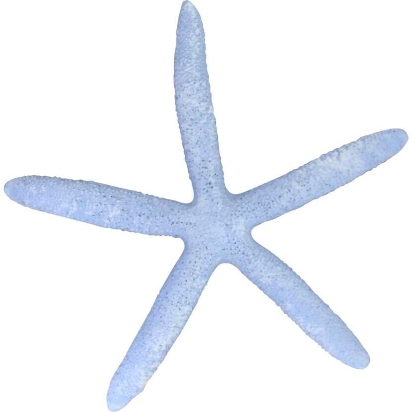 Starfish Blue