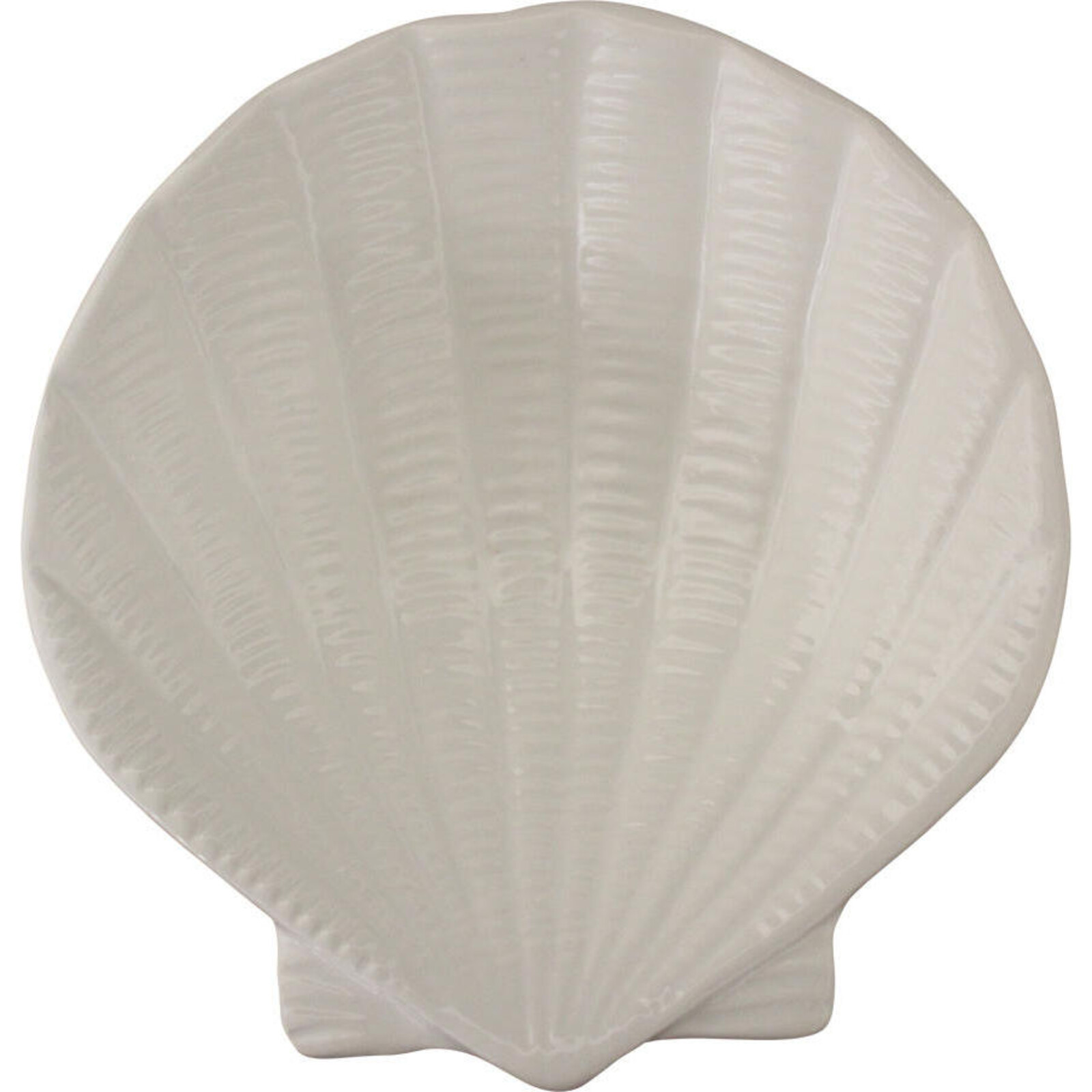 Clam Shell Decor White