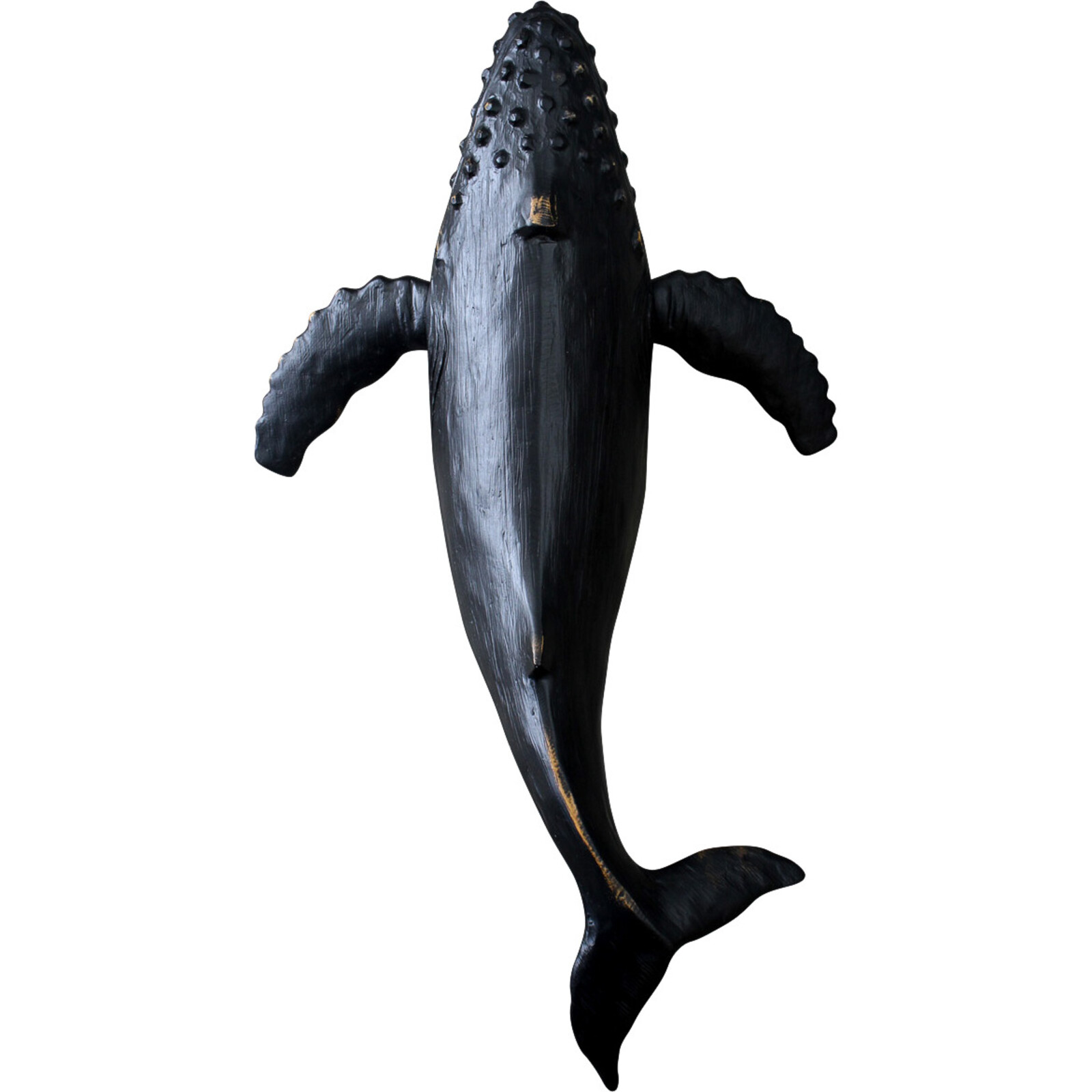Majestic Whale Dark Med