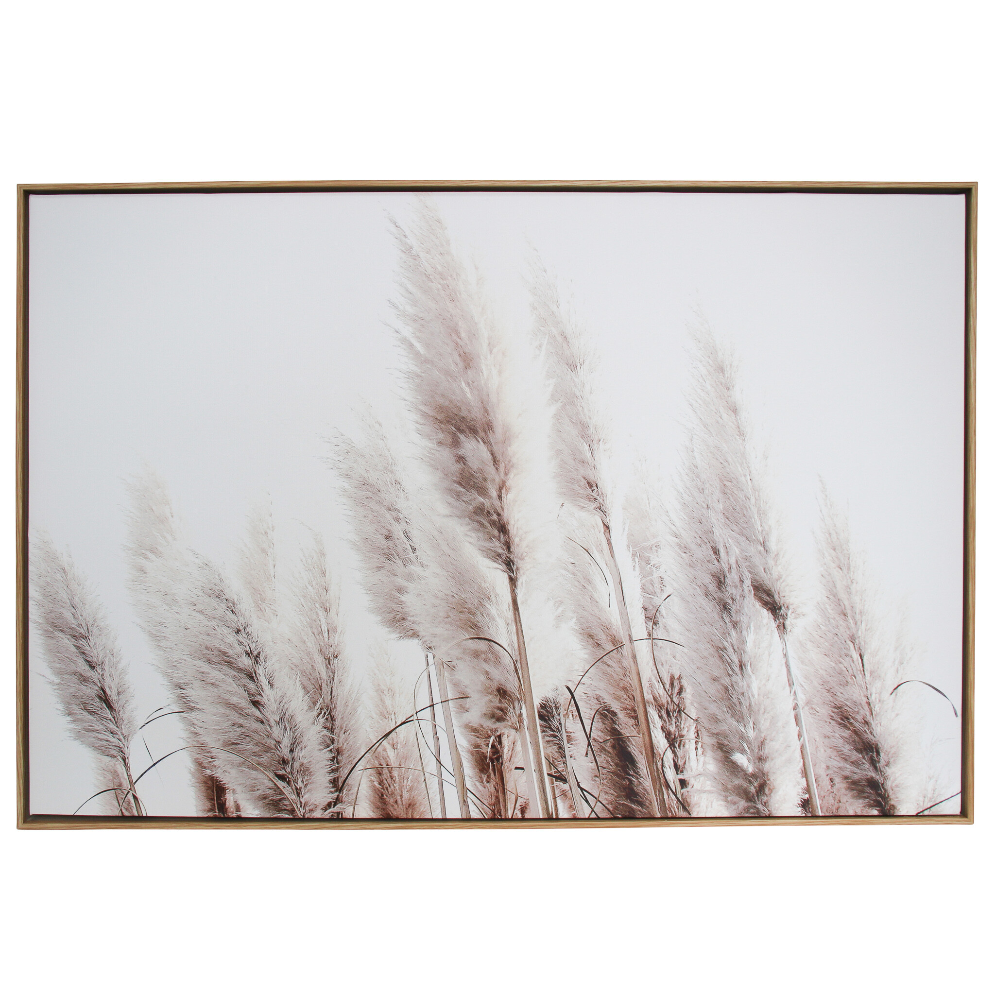 Framed Canvas Pampas