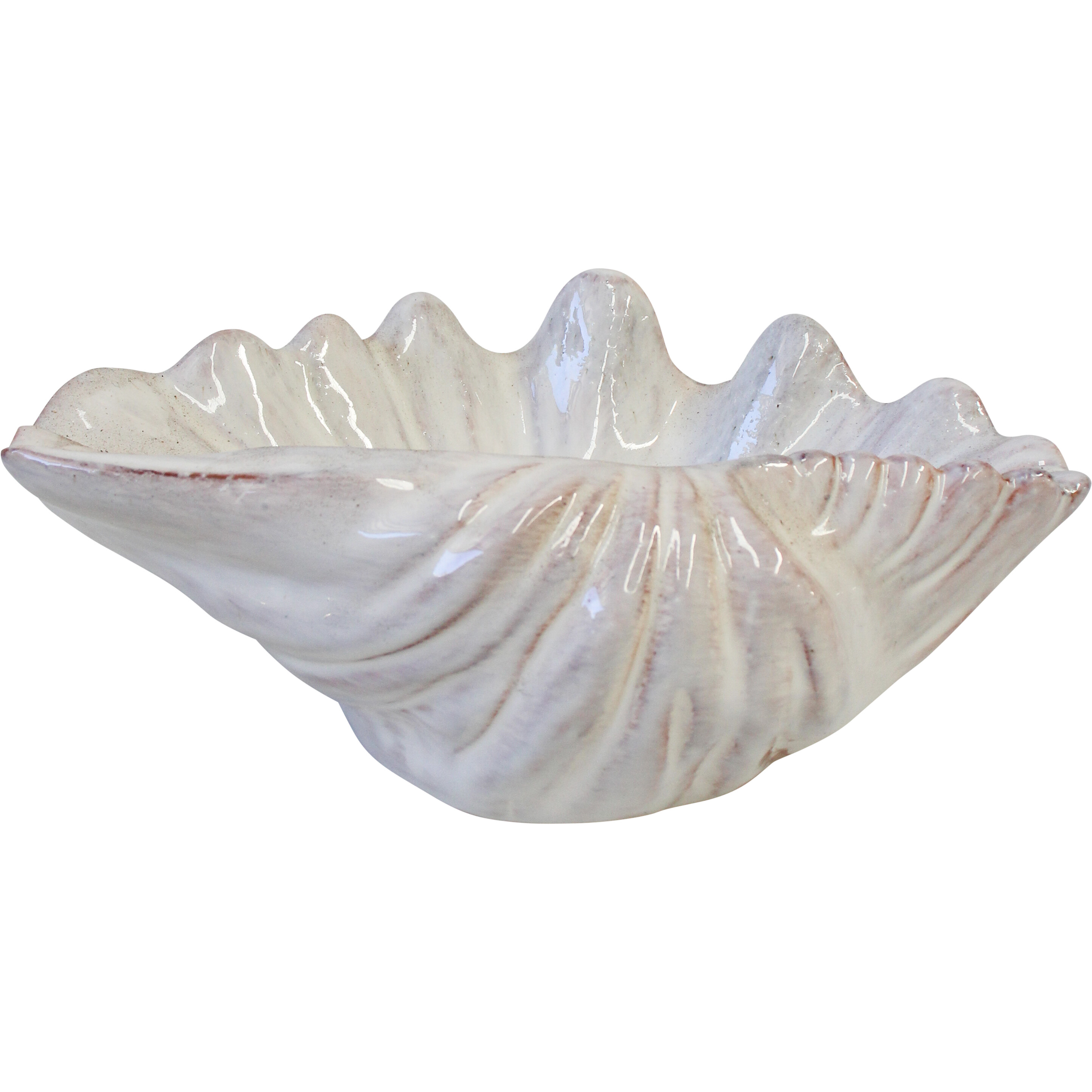 Shell Dish Ivory Lrg