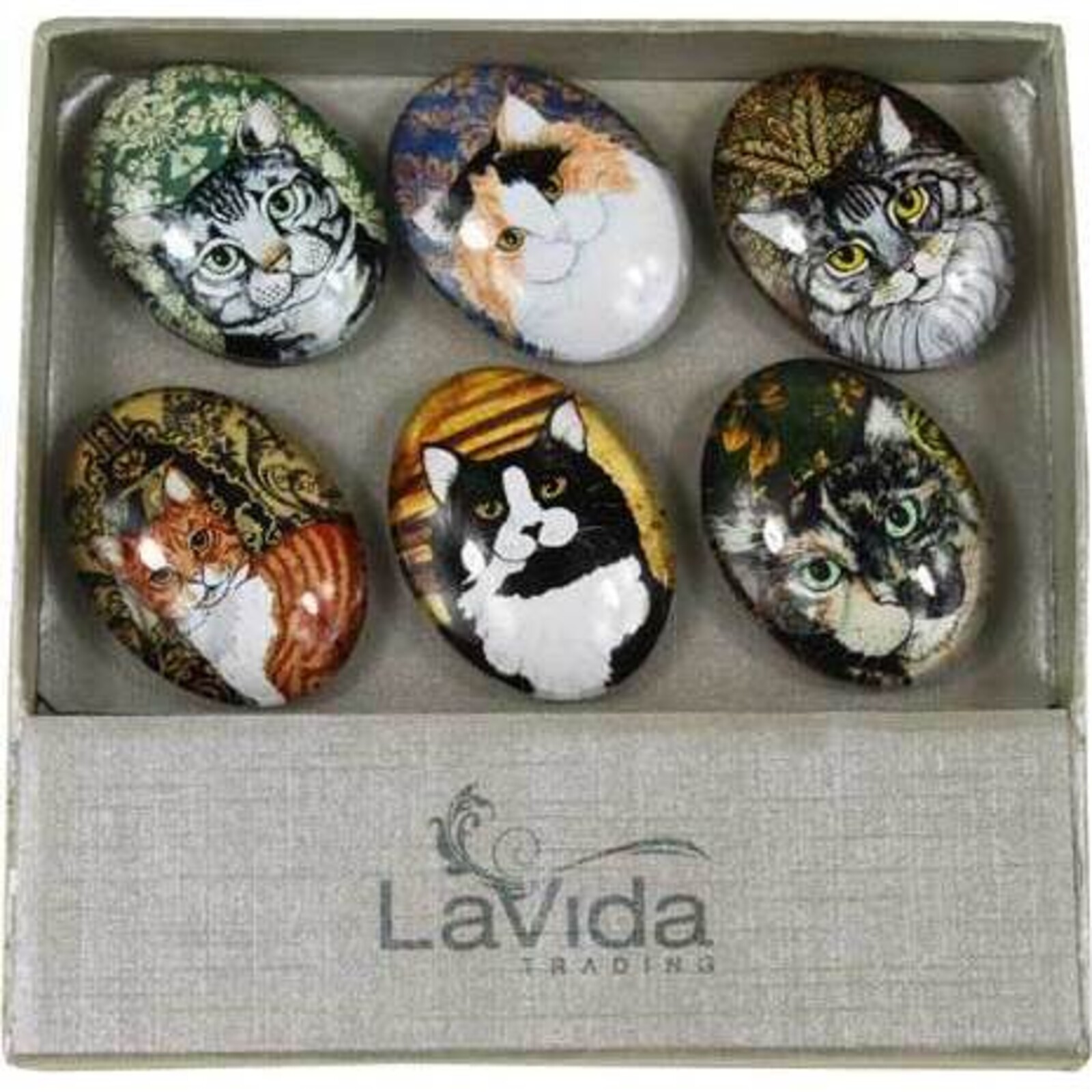Glass Magnets Cat Lovers