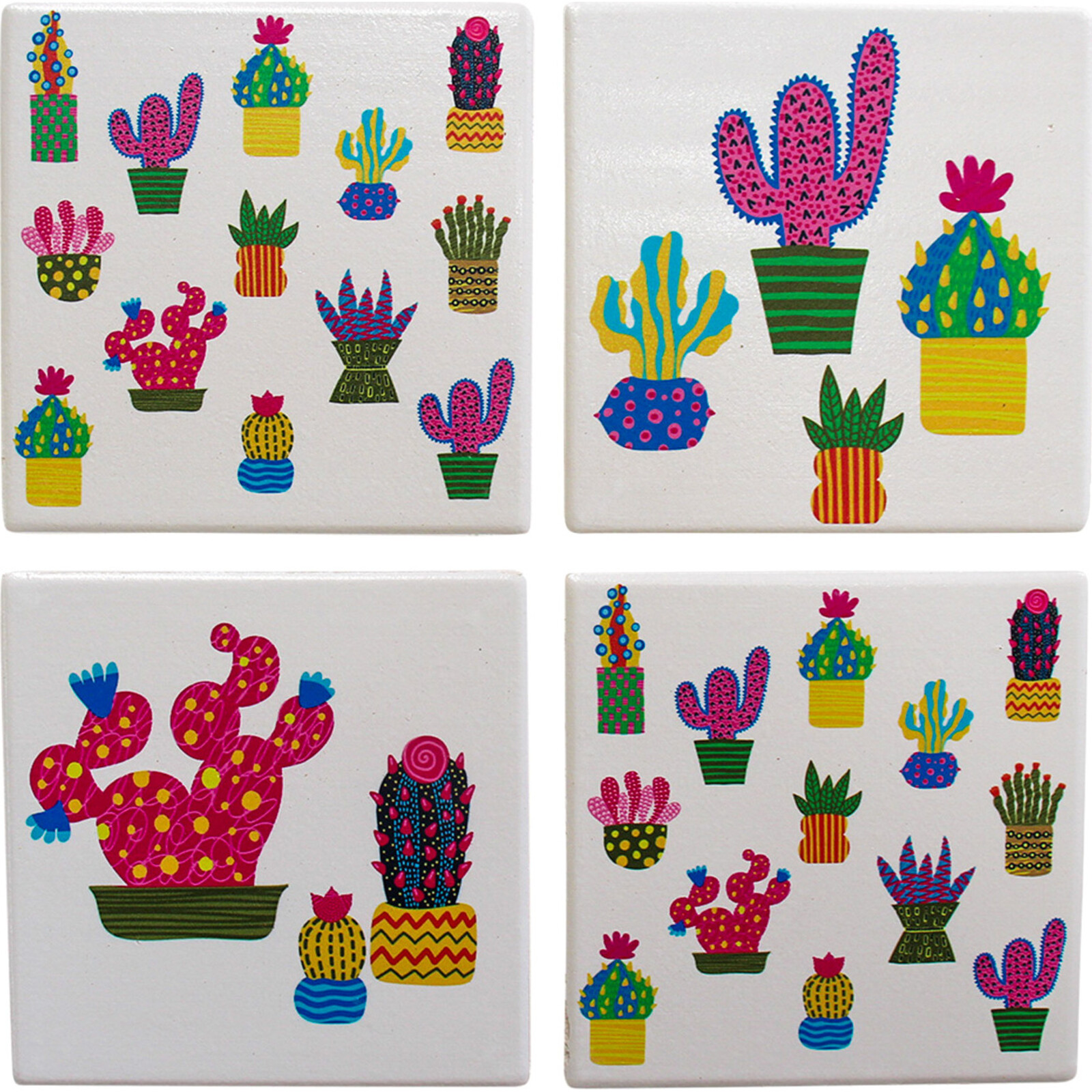 Coasters Colourful Cacti