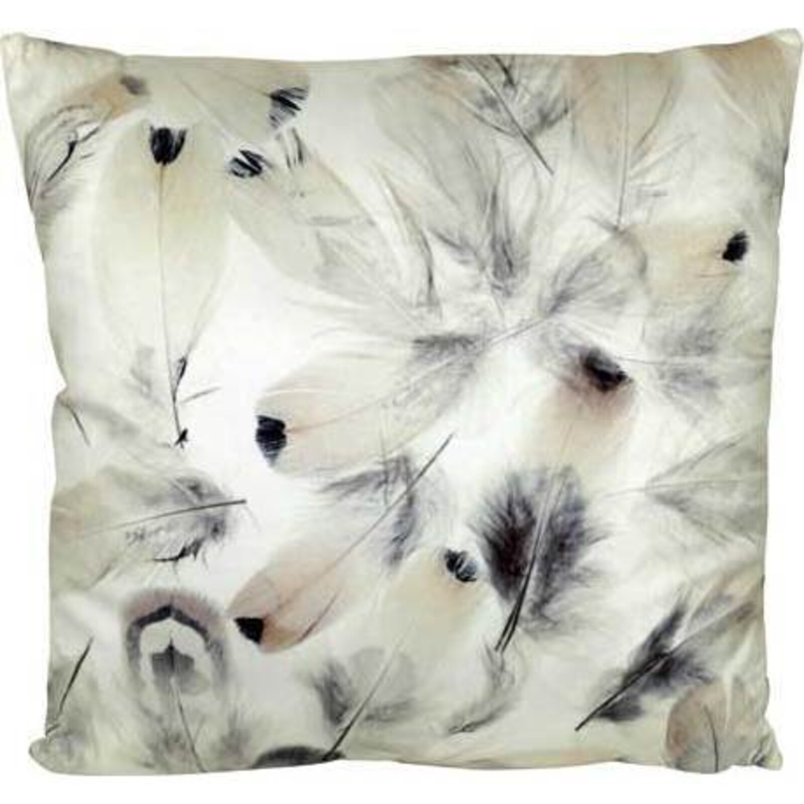 Cushion Pale Feathers