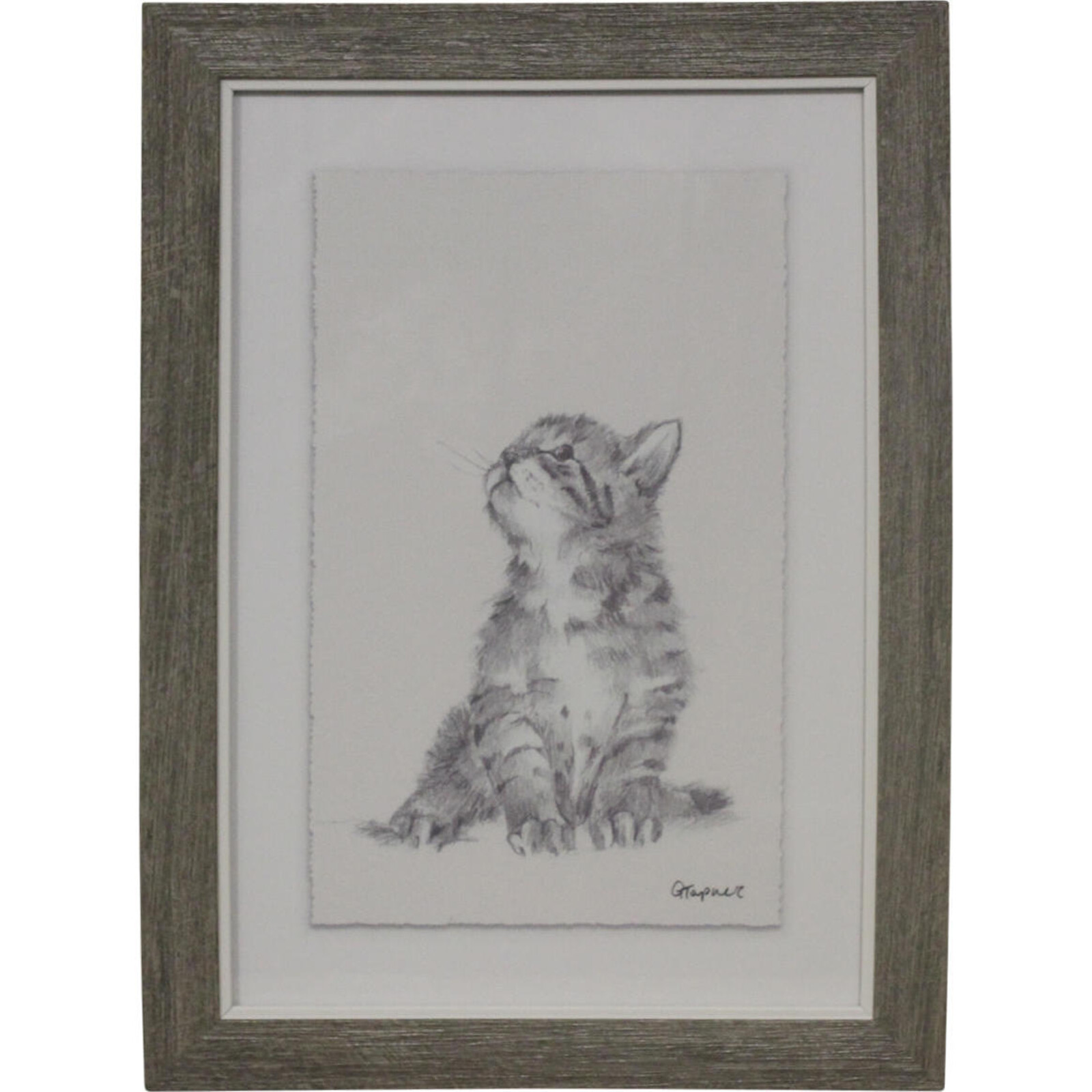 Framed Print Kitten 2