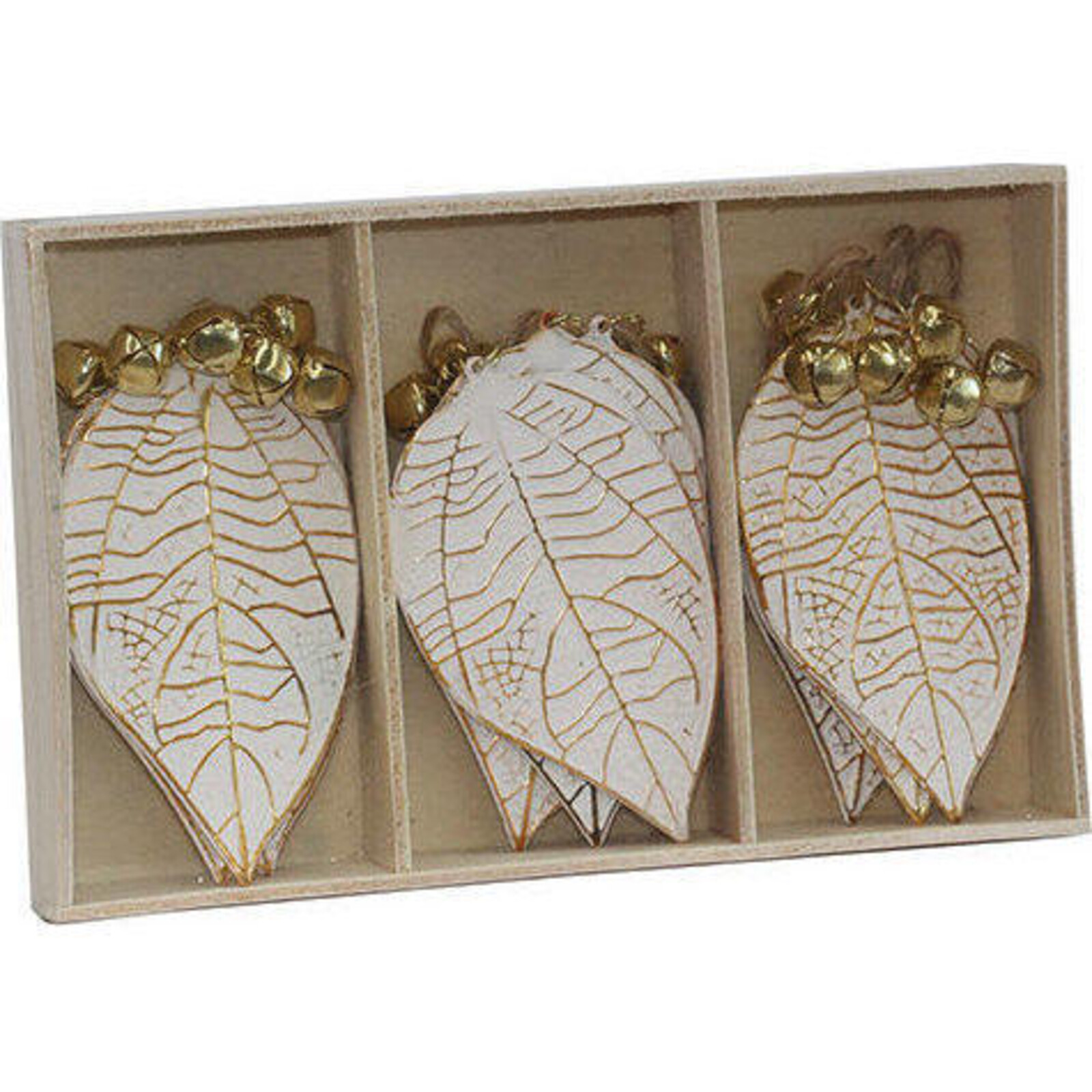 Box Leaf Gold Vein S/9