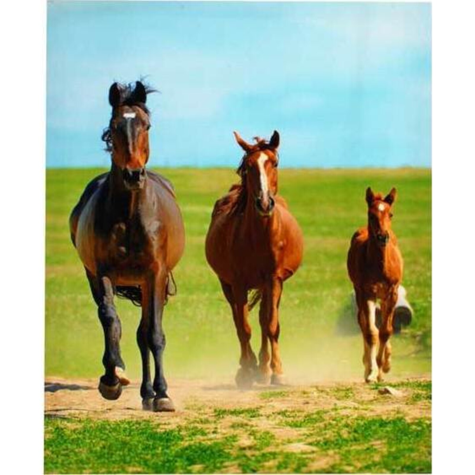 Canvas Galloping Horses