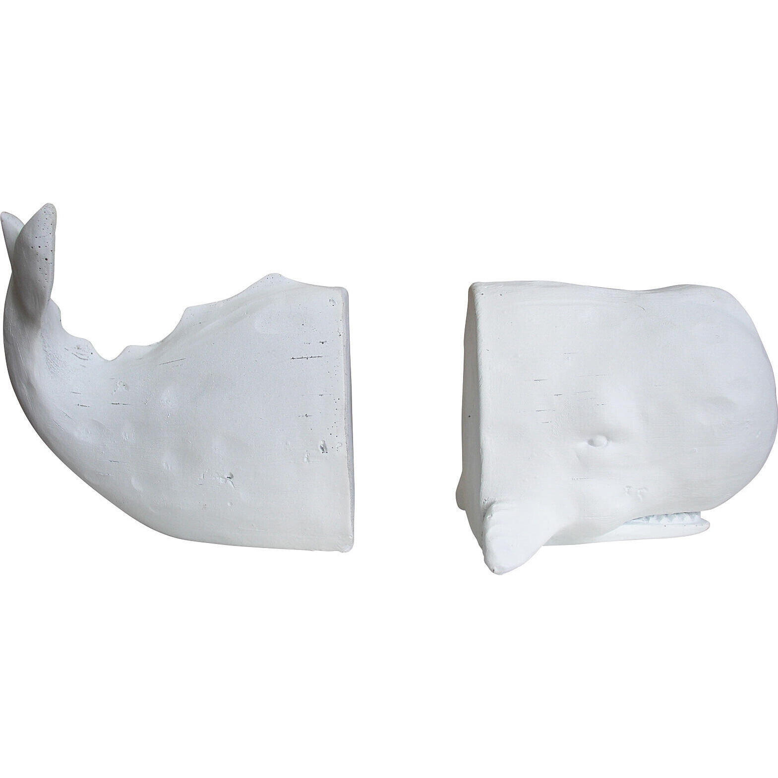 Whale Bookends
 White