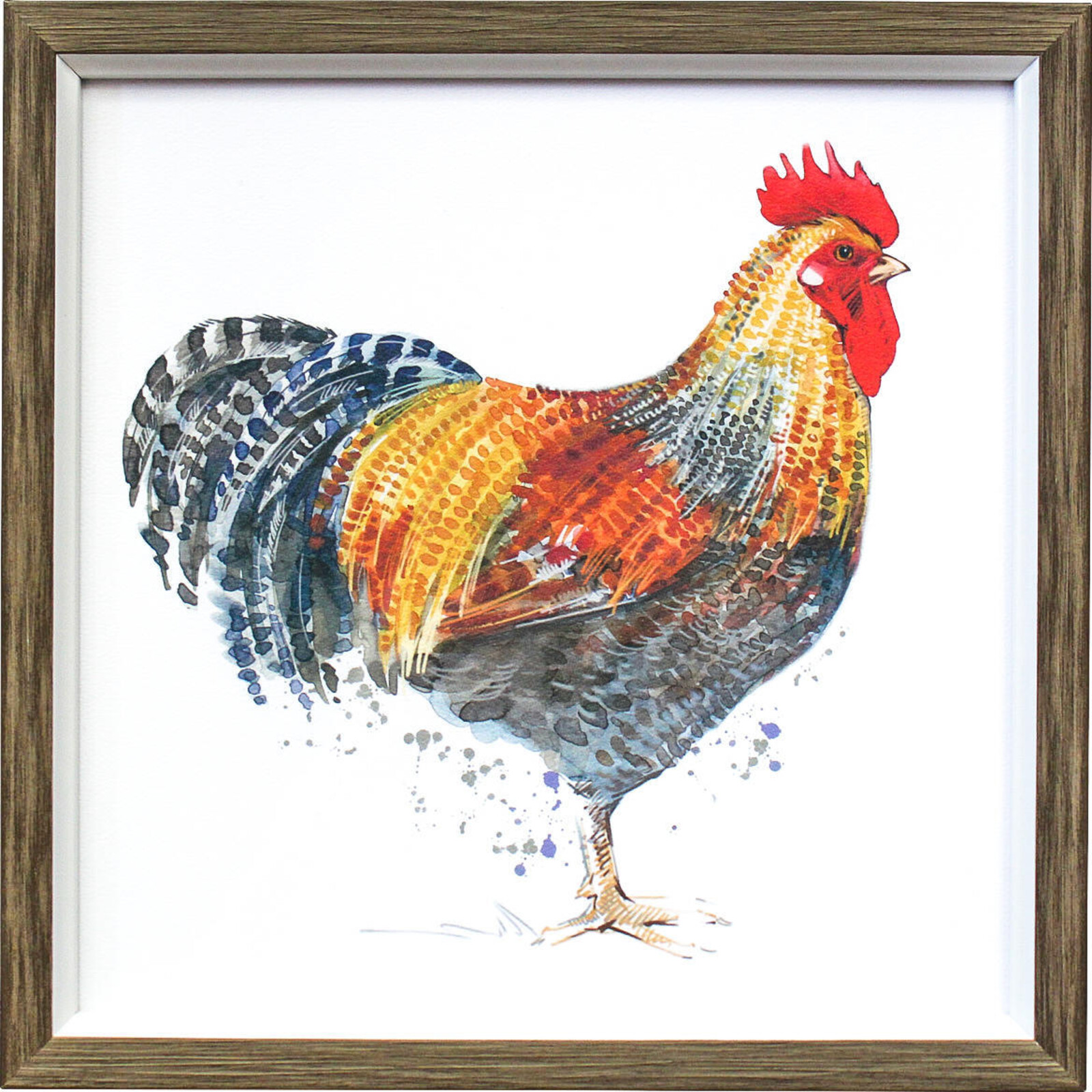 Framed Print Chicken Bielefelder