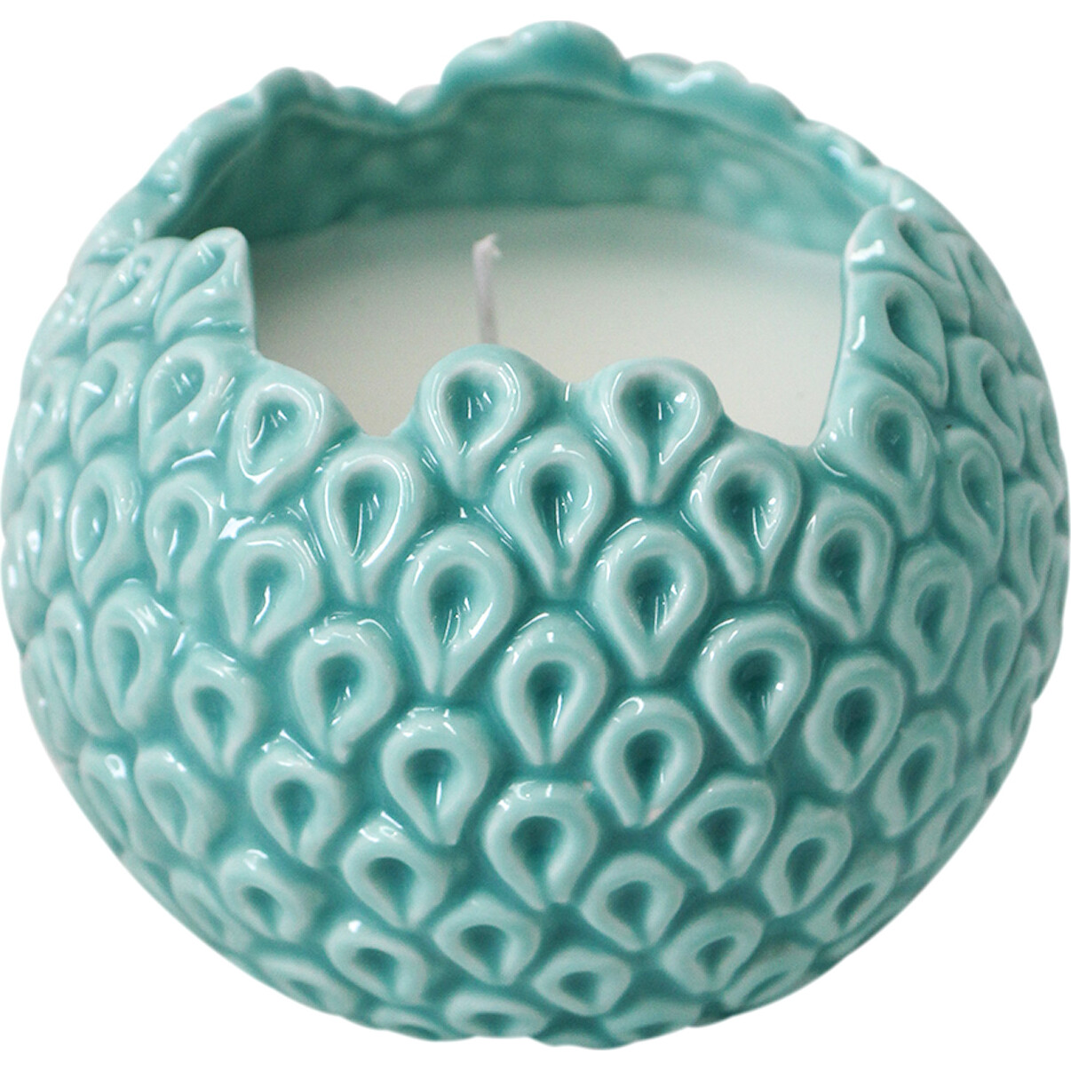 Candle Barnacle Seafoam