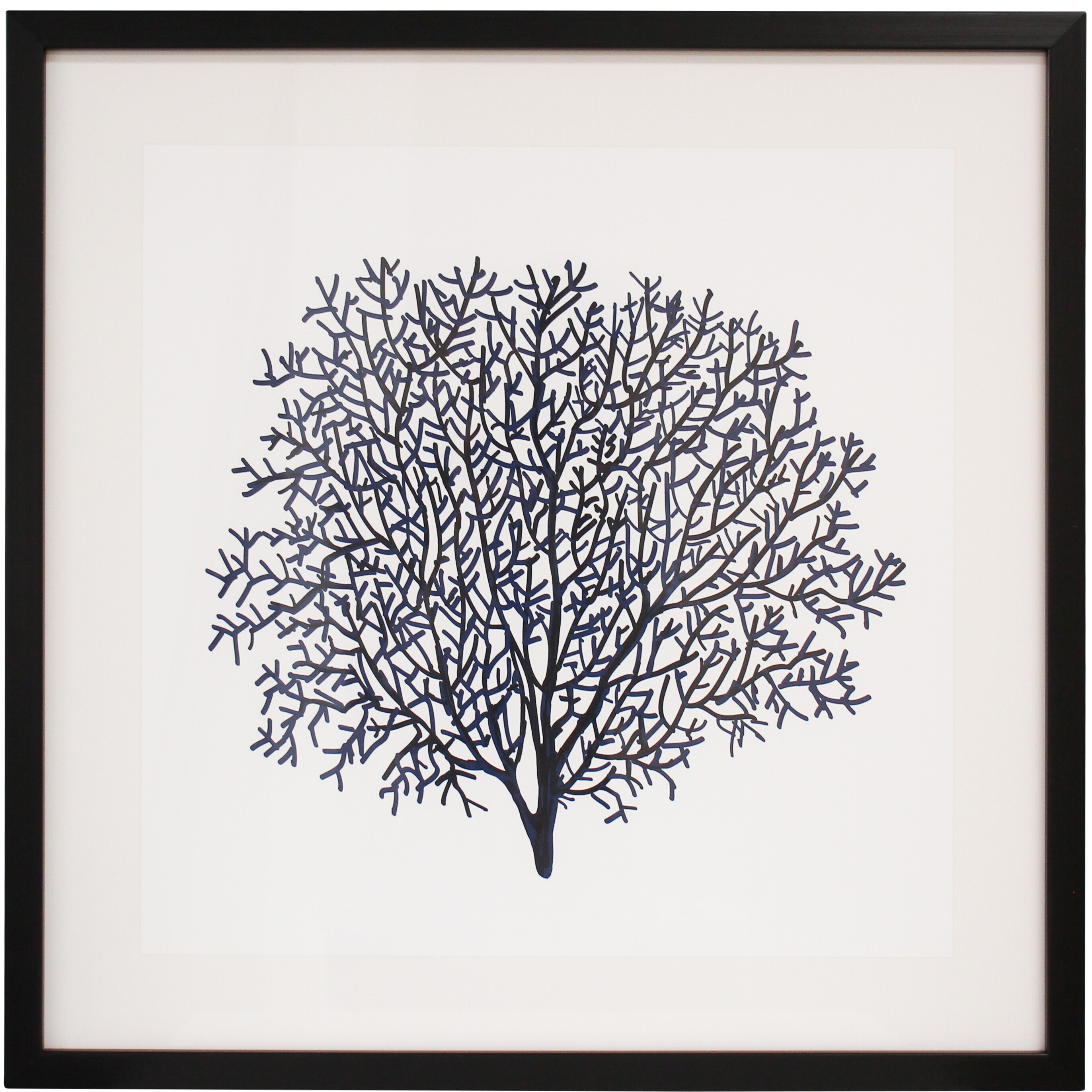 Framed Print Sea Fan 1