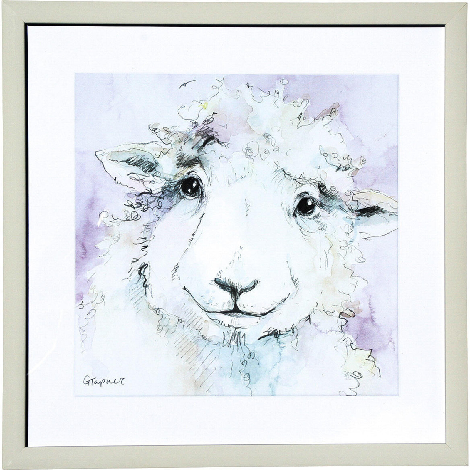 Framed Print The Sheep