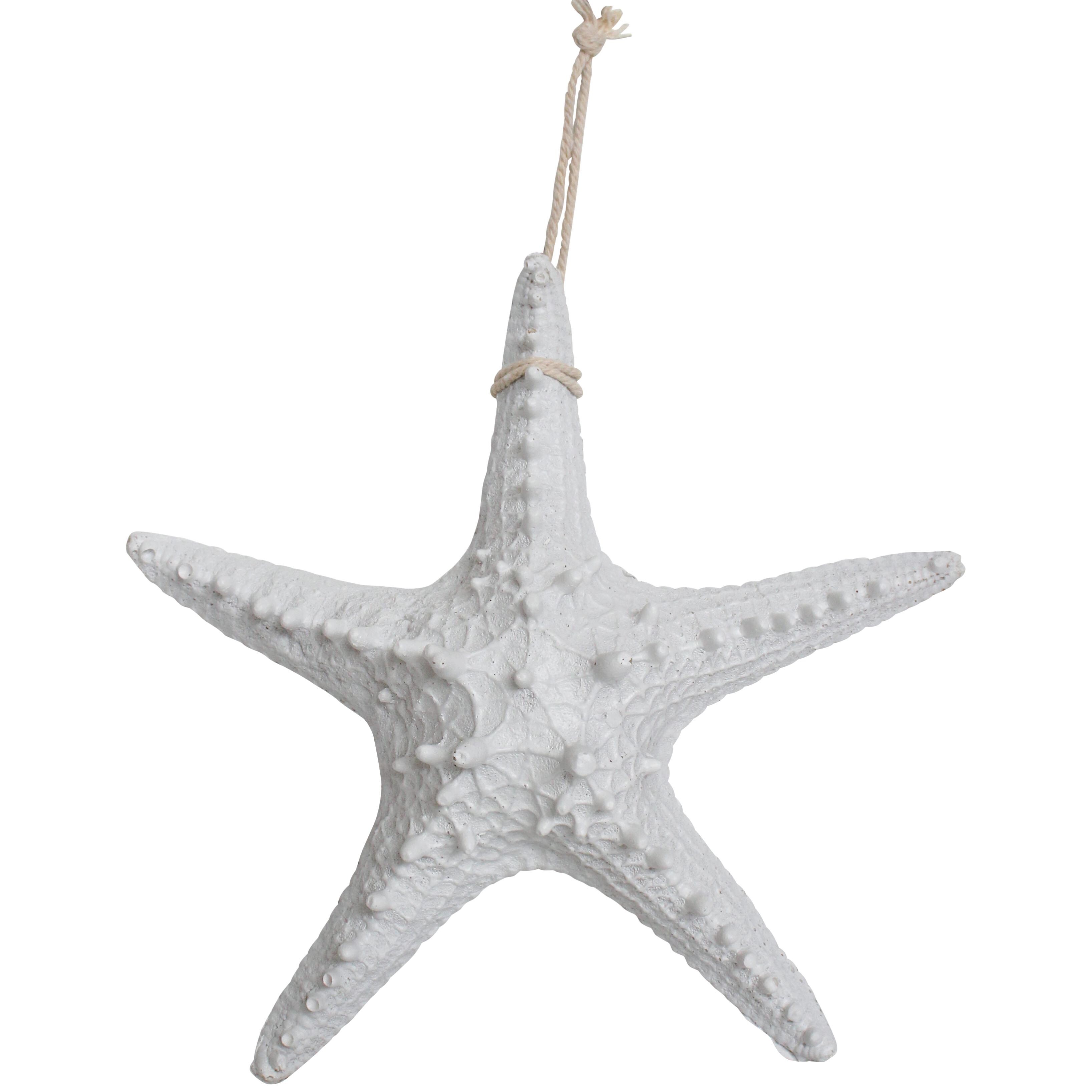 Starfish Rustic Lrg