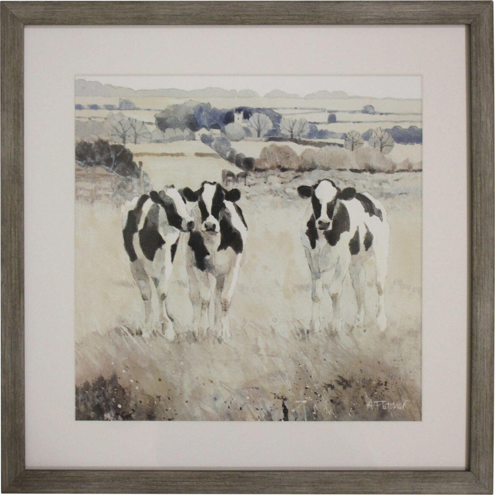 Framed Print Grazing Cows