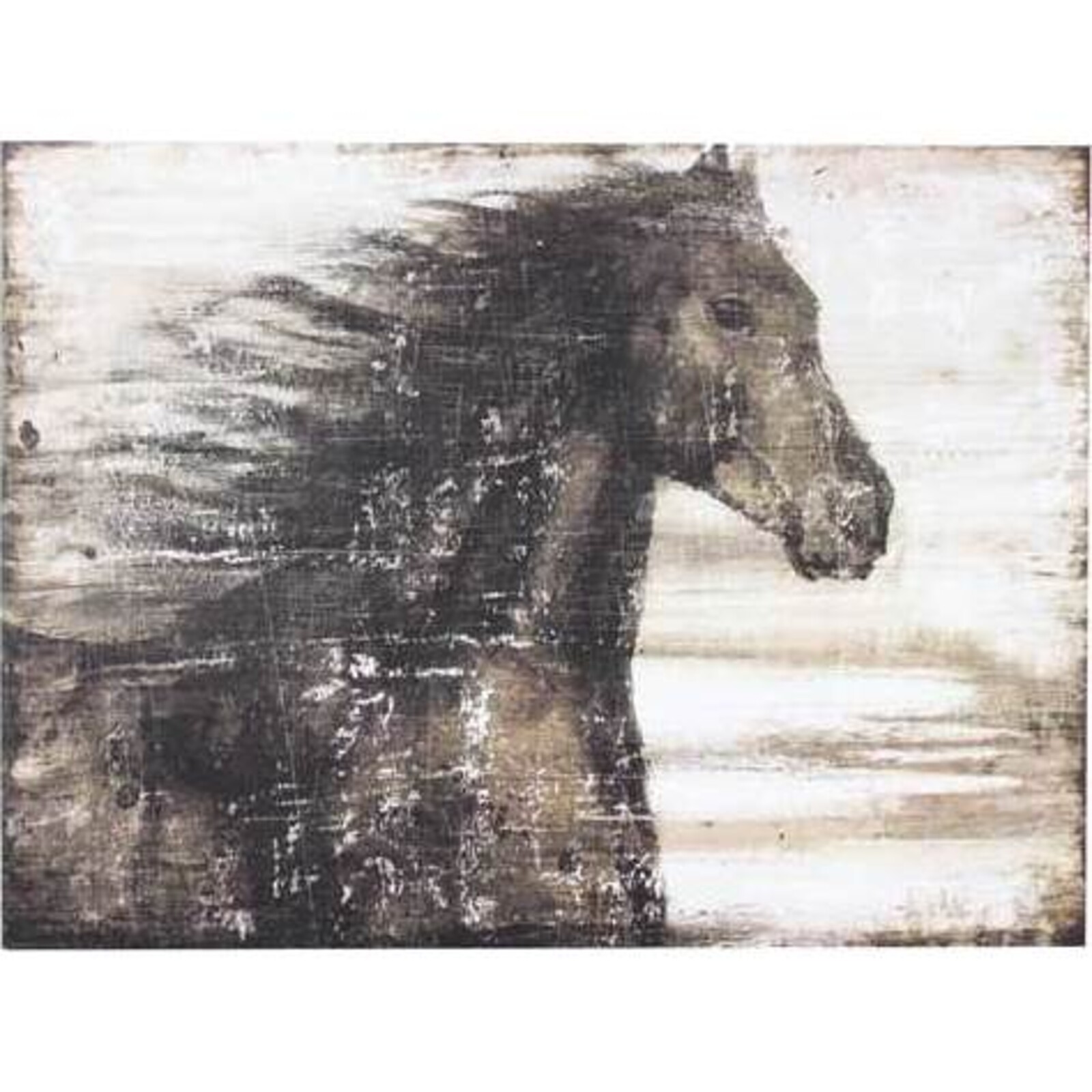 Canvas Print Wild Horse