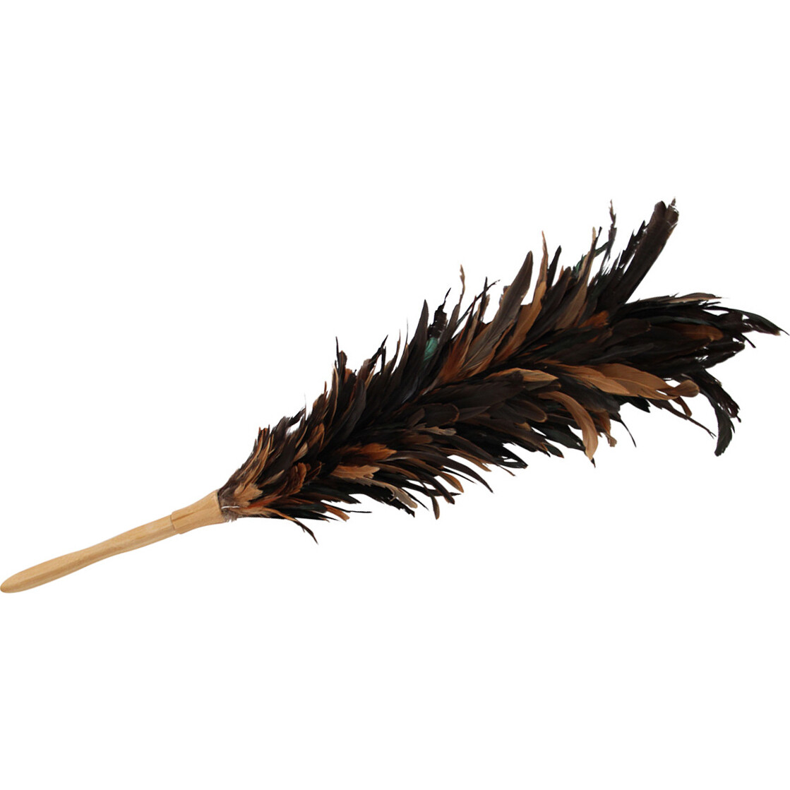 Feather Duster Black